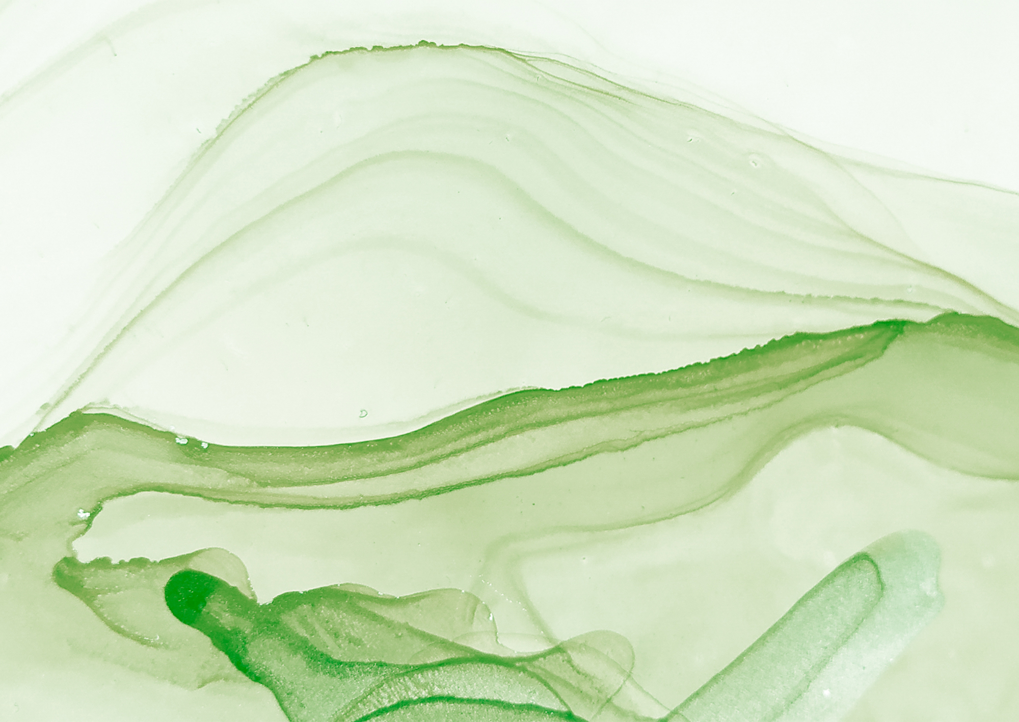 tinta verde sobre fondo blanco